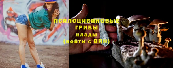 СК Абаза