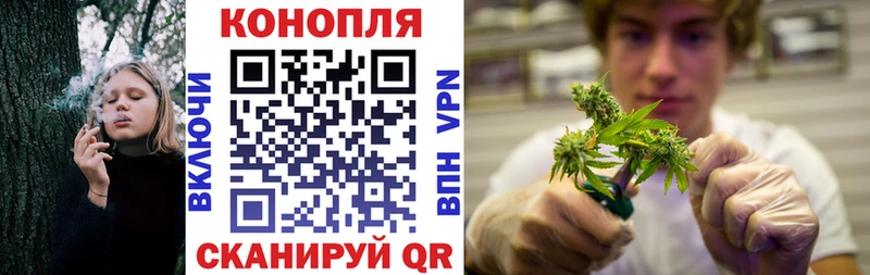 МАРИХУАНА сатива  где купить наркотик  Энгельс 